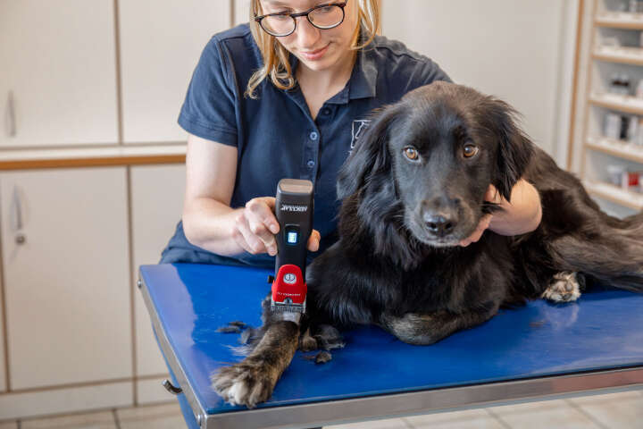 AESCULAP Akkuschermaschine Favorita CLi